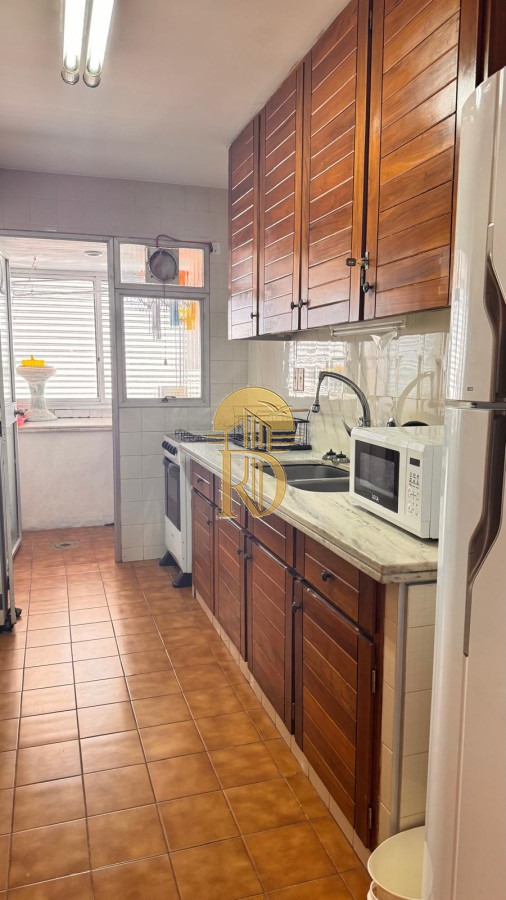 Encantador departamento con vista hermosa hacia brava. -id-393-9