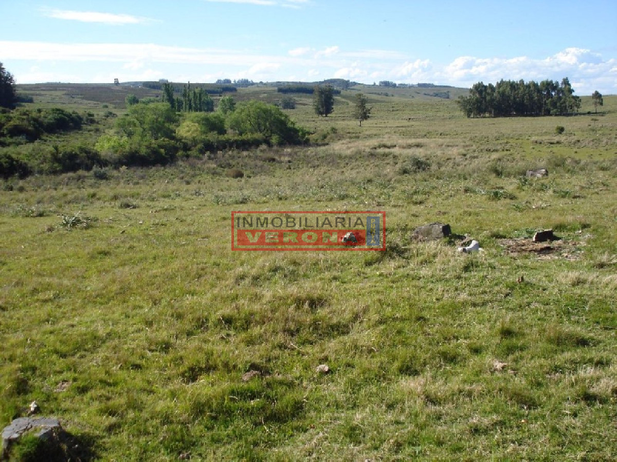 Campo 96 has en Carape cuenta con costa de arroyo. - GoPunta - Portal Inmobiliario de Punta del Este - Maldonado
