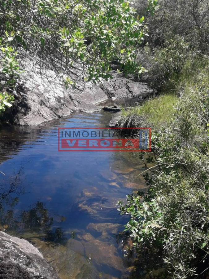 Campo en Carape   Departamento de Maldonado - GoPunta - Portal Inmobiliario de Punta del Este - Maldonado