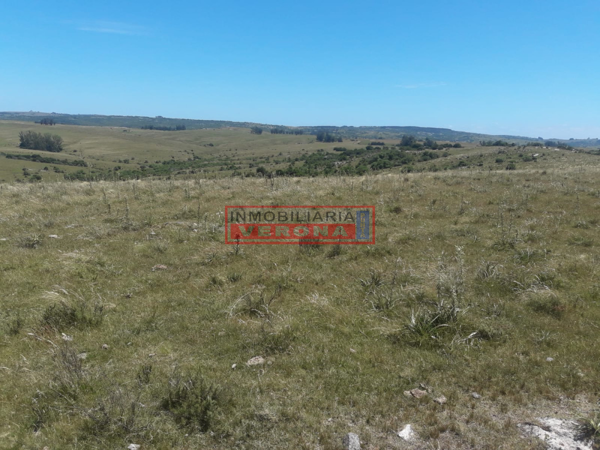 Campo en Carape   Departamento de Maldonado - GoPunta - Portal Inmobiliario de Punta del Este - Maldonado