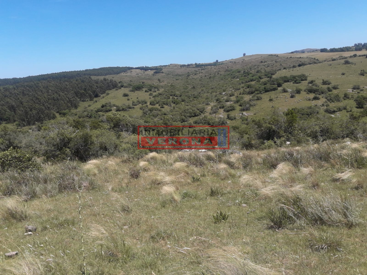 Campo en Carape   Departamento de Maldonado - GoPunta - Portal Inmobiliario de Punta del Este - Maldonado