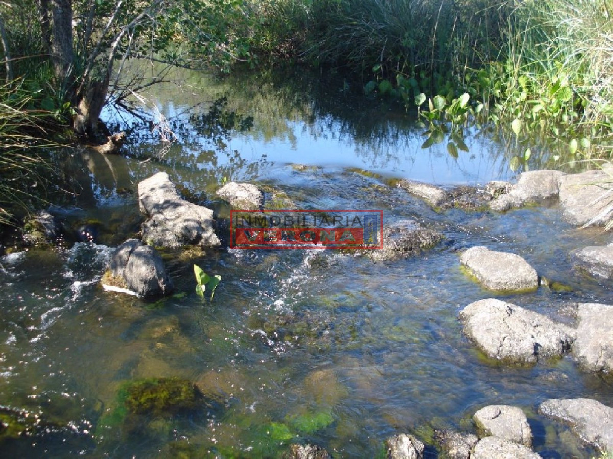 Campo 96 has en Carape cuenta con costa de arroyo. - GoPunta - Portal Inmobiliario de Punta del Este - Maldonado