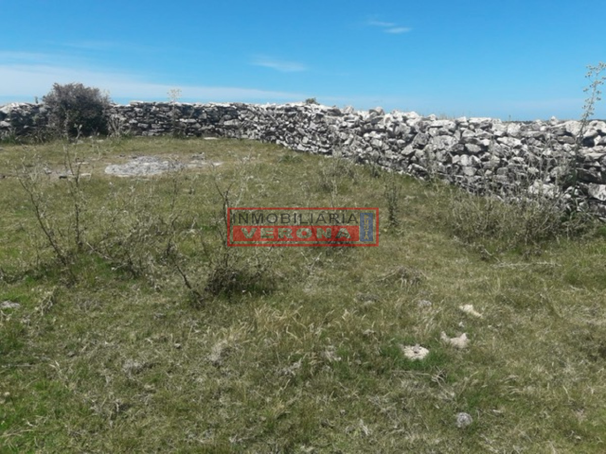 Campo en Carape   Departamento de Maldonado - GoPunta - Portal Inmobiliario de Punta del Este - Maldonado