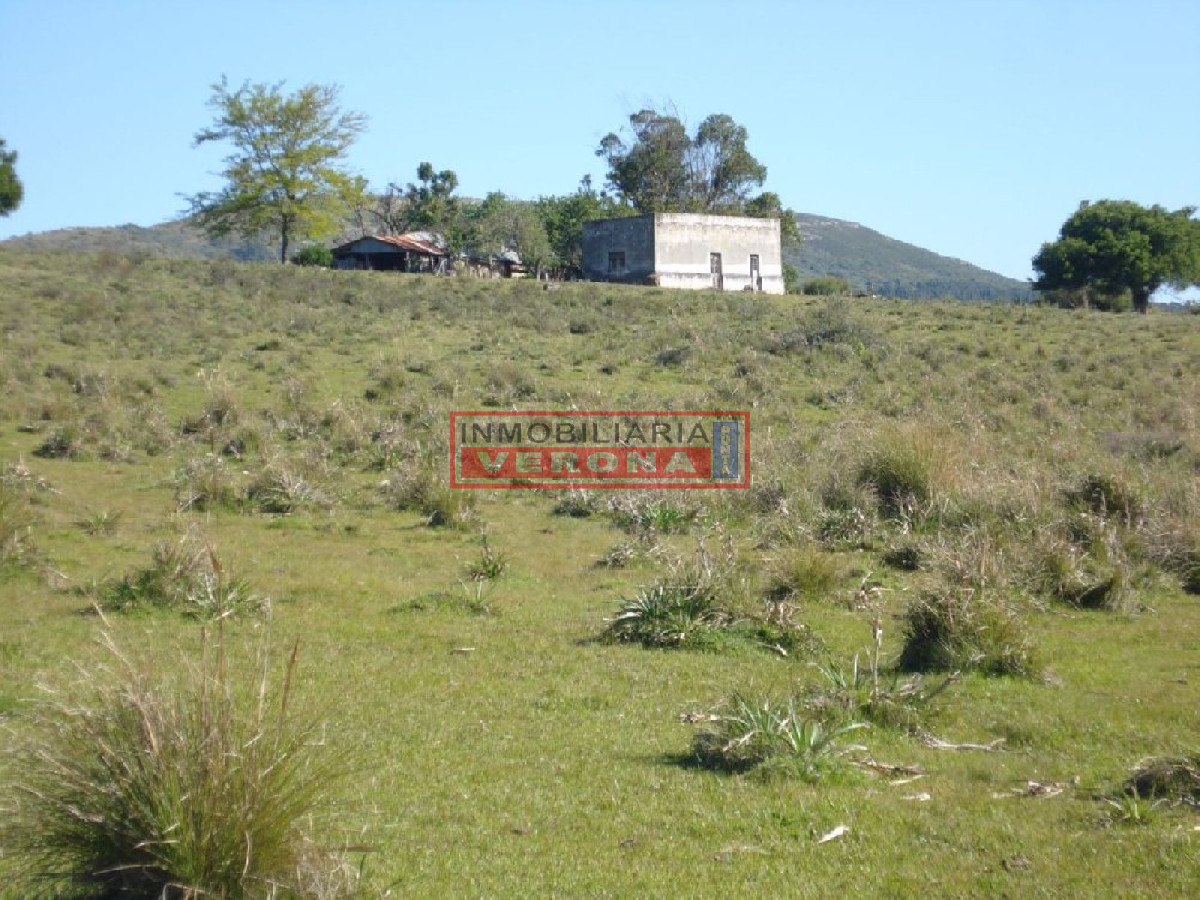 Campo 96 has en Carape cuenta con costa de arroyo. - GoPunta - Portal Inmobiliario de Punta del Este - Maldonado