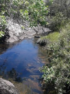 Campo en Carape - Departamento de Maldonado