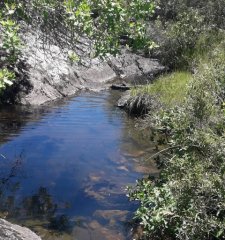 Campo en Carape - Departamento de Maldonado