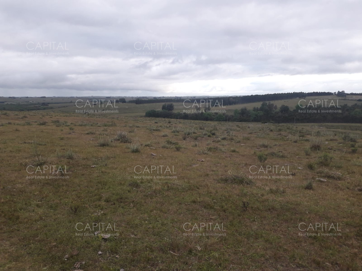 Campo Ref.31302 - Campo de 47 has en Paraje los Caracoles - Consulte !!!!!