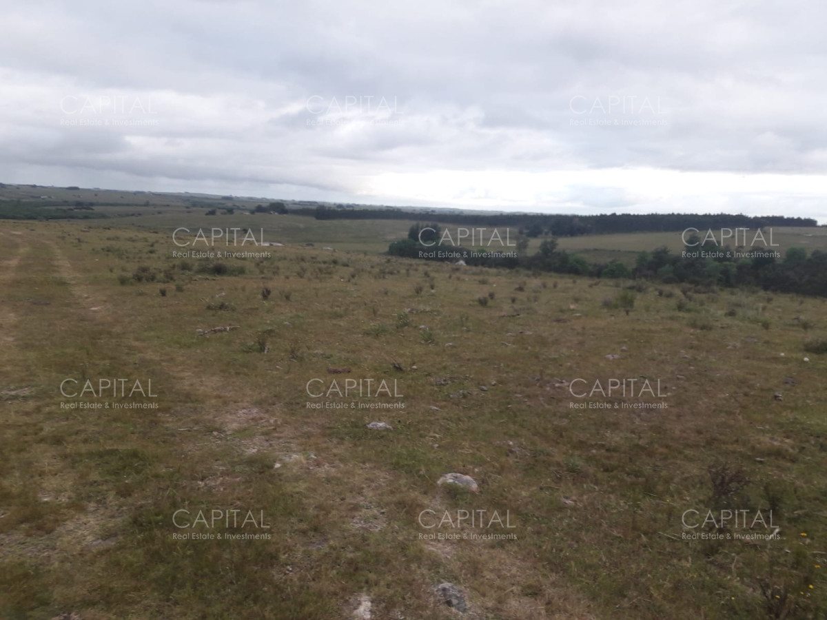 Campo Ref.31302 - Campo de 47 has en Paraje los Caracoles - Consulte !!!!!
