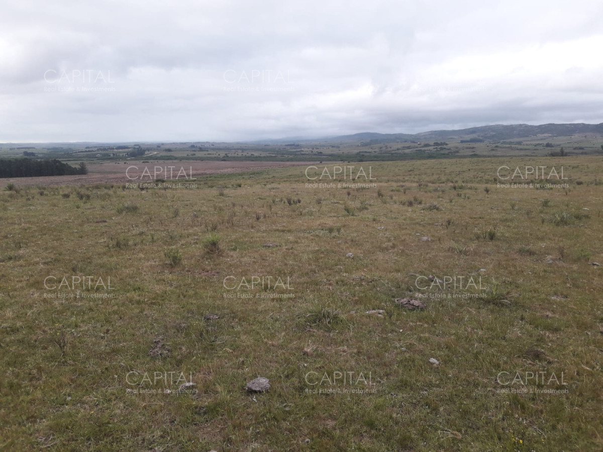 Campo Ref.31302 - Campo de 47 has en Paraje los Caracoles - Consulte !!!!!
