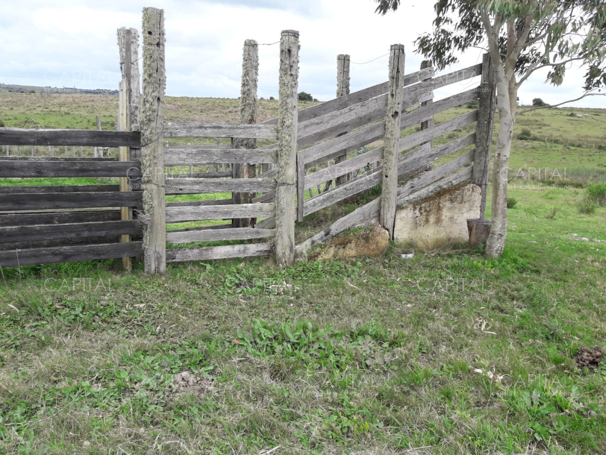Campo Ref.31301 - Campo en las Cañas de 59 has, cuenta con casa, luz, instrucciones para trabajar con ganado, arroyo, cañada y monte natural. Consulte!!!!!
