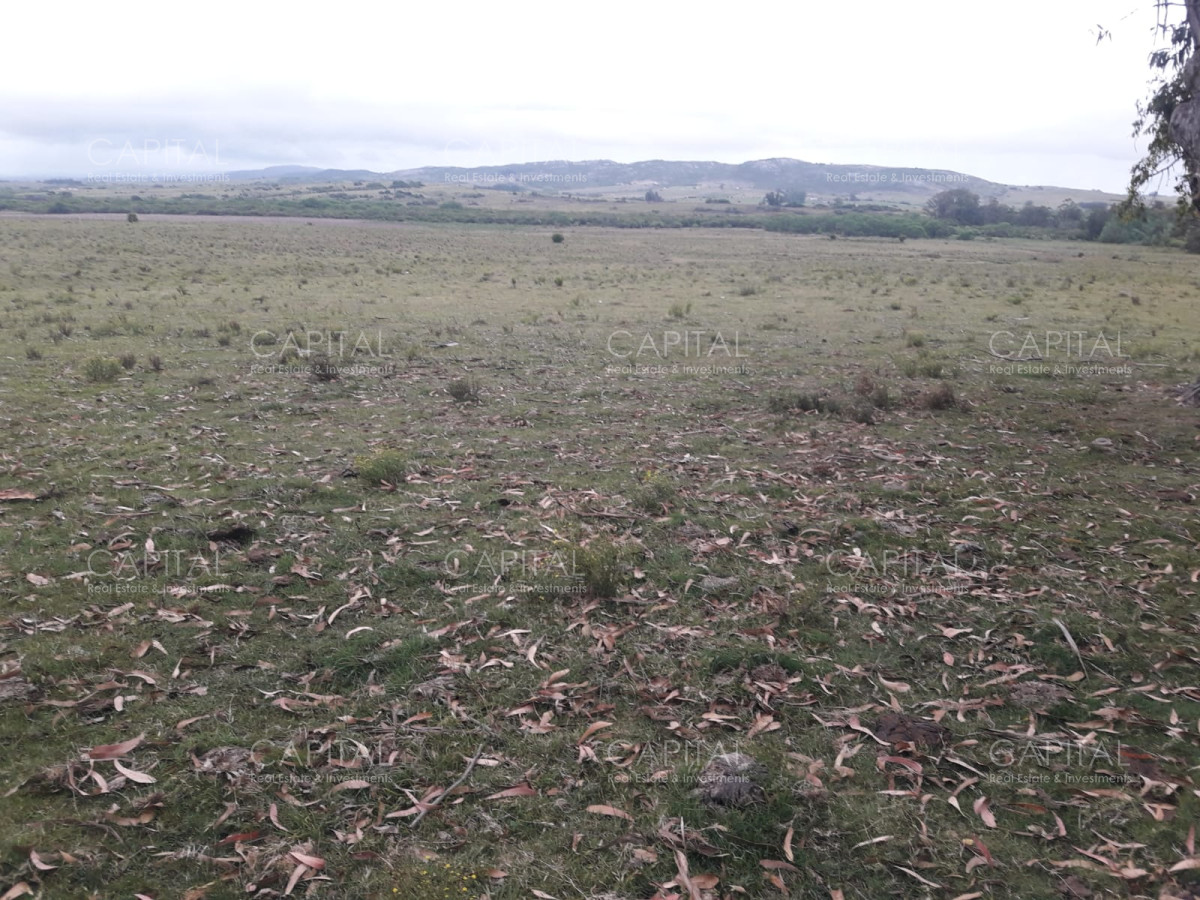 Campo Ref.31302 - Campo de 47 has en Paraje los Caracoles - Consulte !!!!!