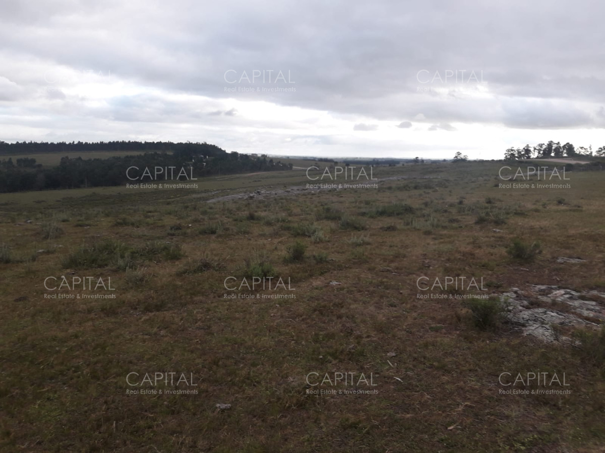 Campo Ref.31302 - Campo de 47 has en Paraje los Caracoles - Consulte !!!!!