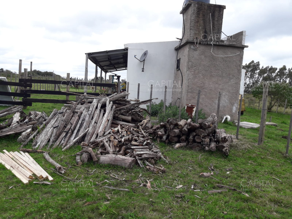 Campo Ref.31301 - Campo en las Cañas de 59 has, cuenta con casa, luz, instrucciones para trabajar con ganado, arroyo, cañada y monte natural. Consulte!!!!!