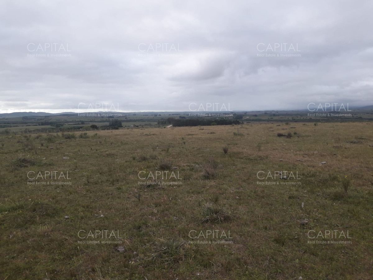 Campo Ref.31302 - Campo de 47 has en Paraje los Caracoles - Consulte !!!!!