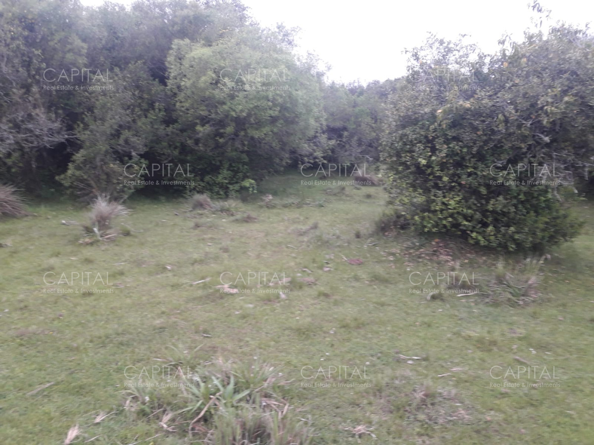 Campo Ref.31302 - Campo de 47 has en Paraje los Caracoles - Consulte !!!!!