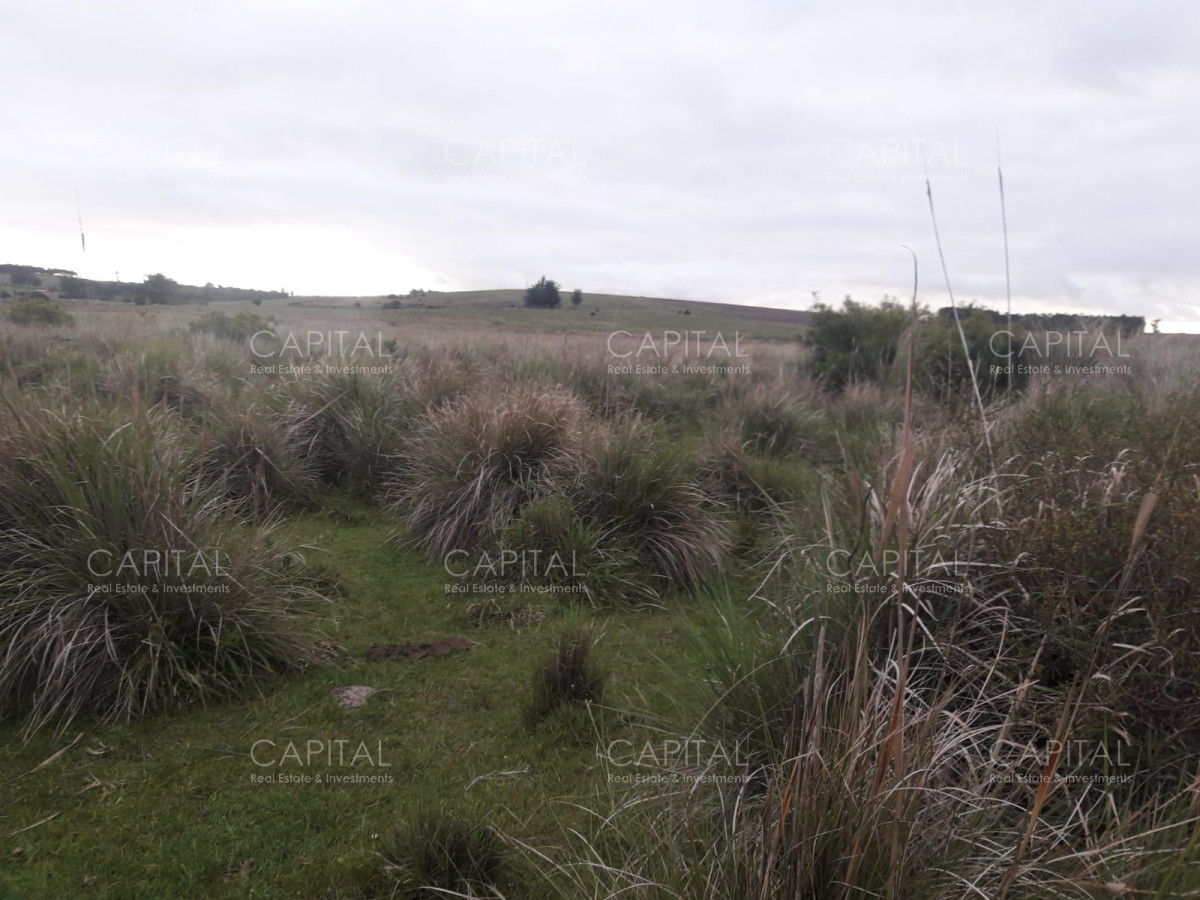 Campo Ref.31302 - Campo de 47 has en Paraje los Caracoles - Consulte !!!!!