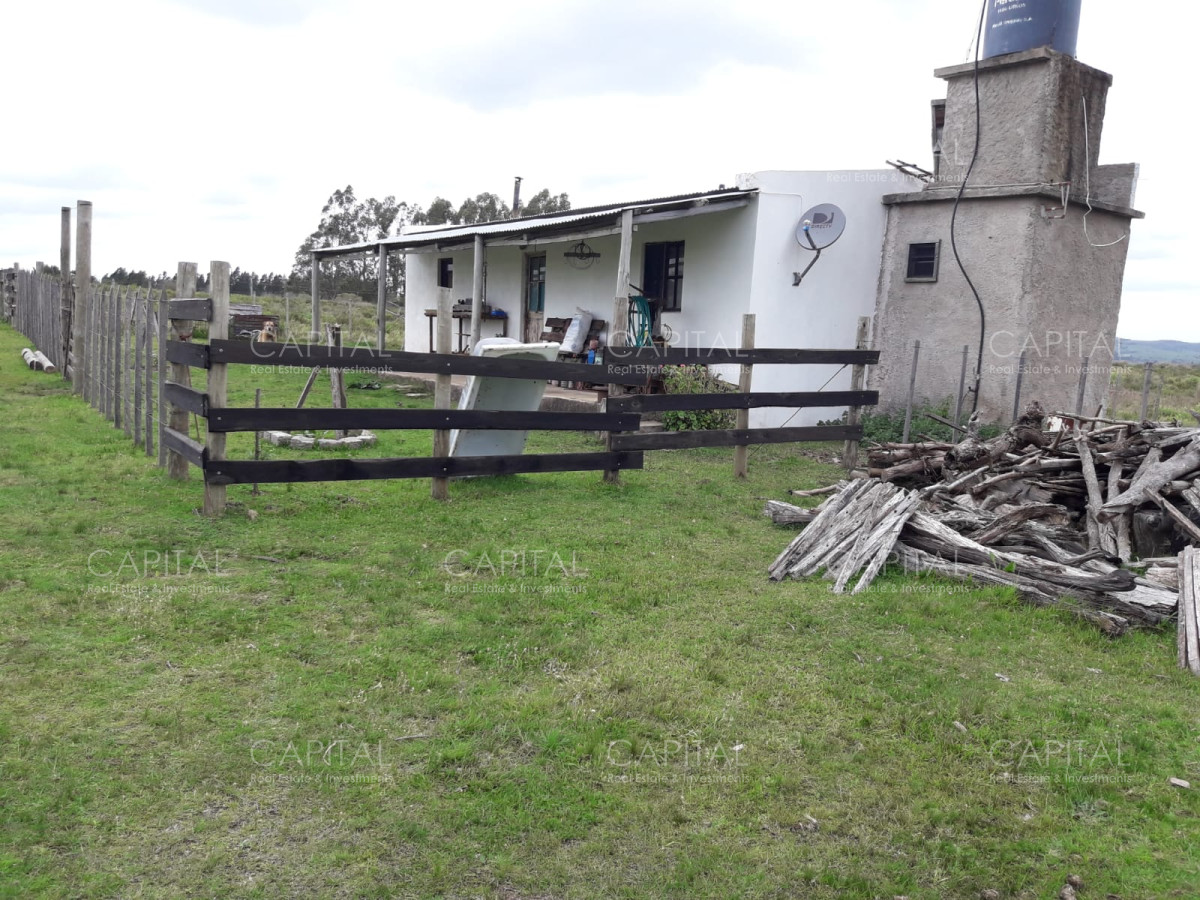 Campo Ref.31301 - Campo en las Cañas de 59 has, cuenta con casa, luz, instrucciones para trabajar con ganado, arroyo, cañada y monte natural. Consulte!!!!!