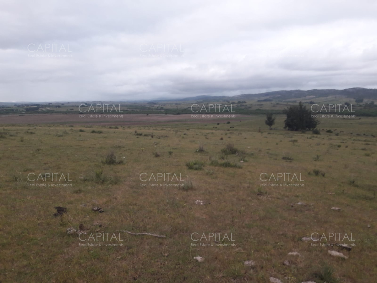 Campo Ref.31302 - Campo de 47 has en Paraje los Caracoles - Consulte !!!!!