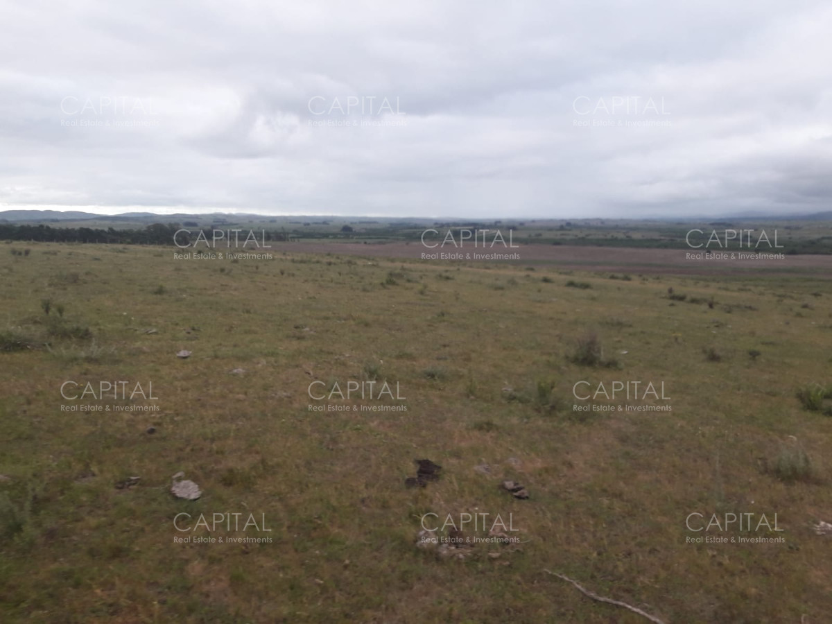Campo Ref.31302 - Campo de 47 has en Paraje los Caracoles - Consulte !!!!!