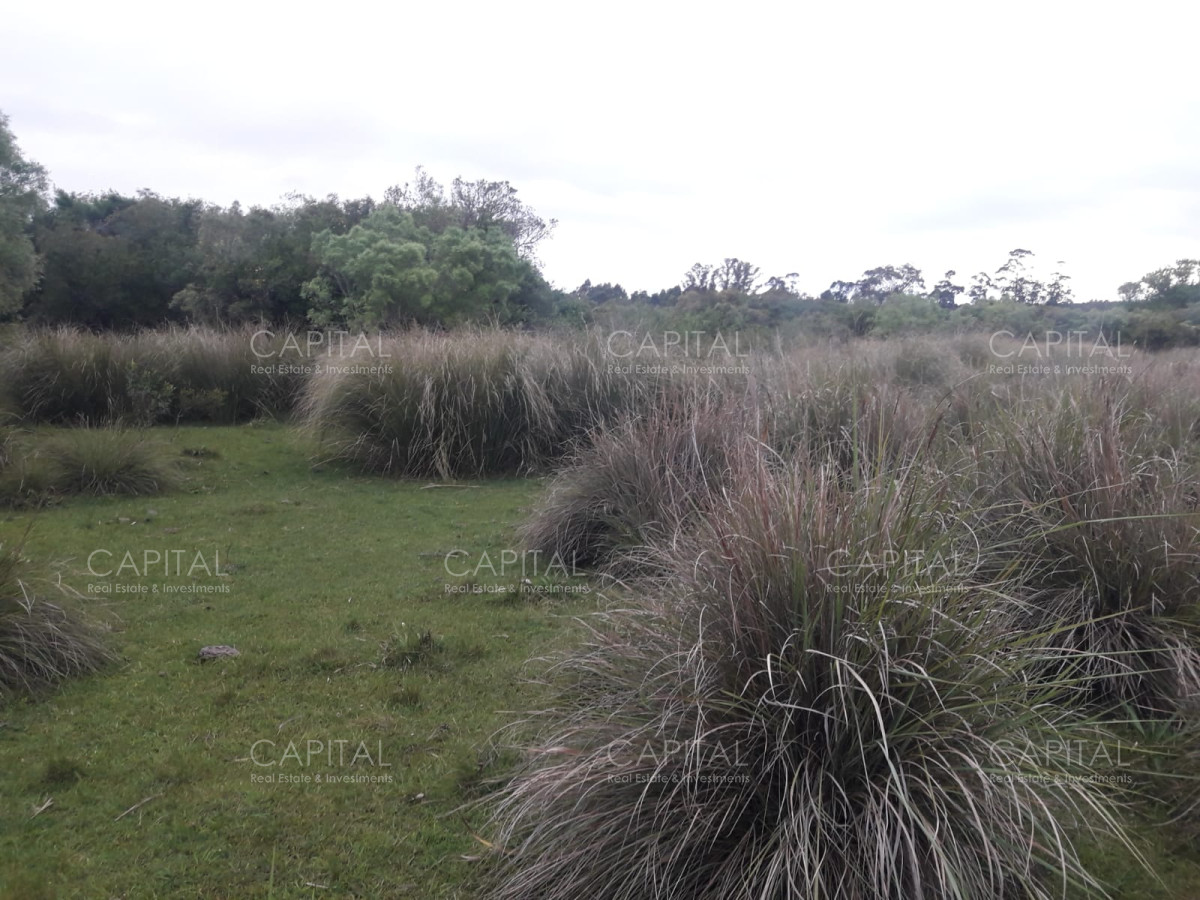 Campo Ref.31302 - Campo de 47 has en Paraje los Caracoles - Consulte !!!!!
