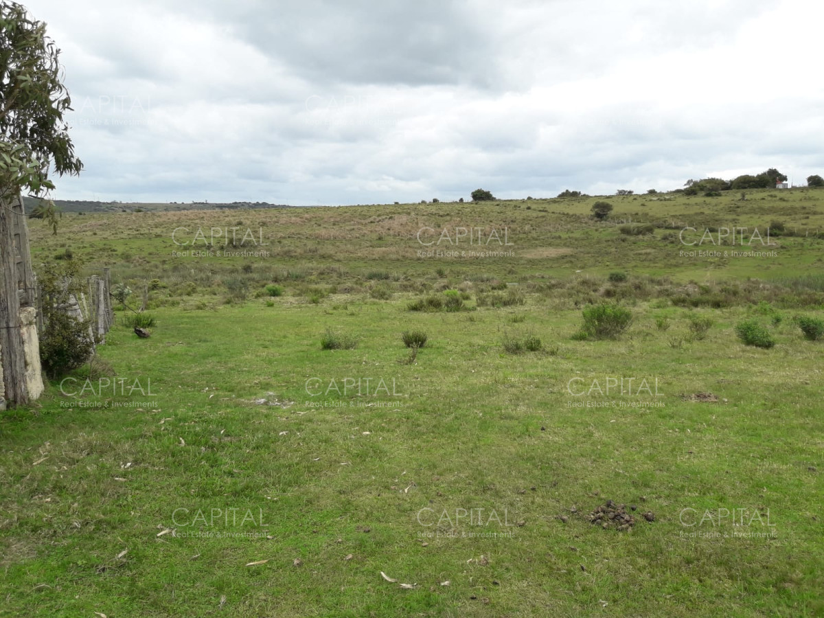 Campo Ref.31301 - Campo en las Cañas de 59 has, cuenta con casa, luz, instrucciones para trabajar con ganado, arroyo, cañada y monte natural. Consulte!!!!!