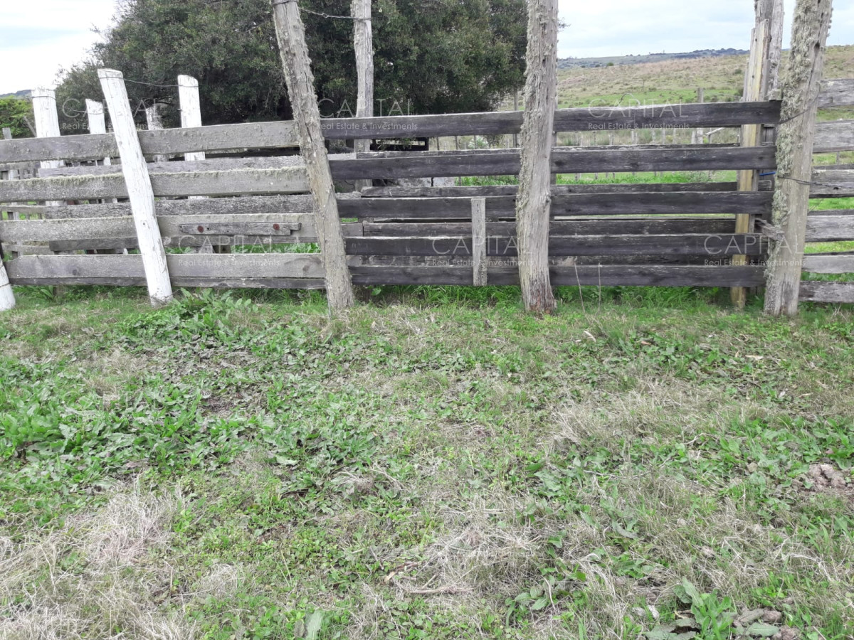 Campo Ref.31301 - Campo en las Cañas de 59 has, cuenta con casa, luz, instrucciones para trabajar con ganado, arroyo, cañada y monte natural. Consulte!!!!!