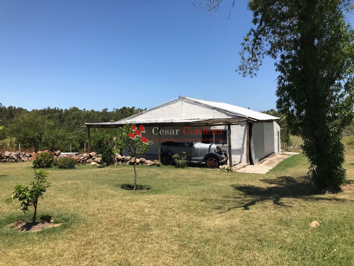 Chacra ID.1976 - VENTA - Chacra 5 has cercana a LA BARRA