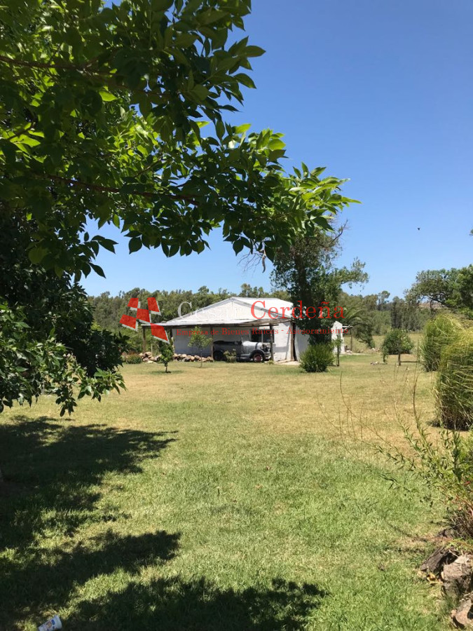 Chacra ID.1976 - VENTA - Chacra 5 has cercana a LA BARRA