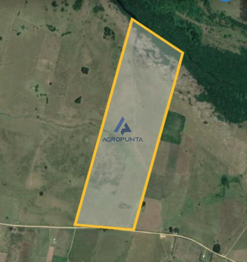Campo de 66 has con 1991 m2 - En Corte la Leña - Consulte!!! - AGP5837P