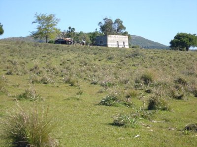 Campo 96 has en Carape cuenta con costa de arroyo.