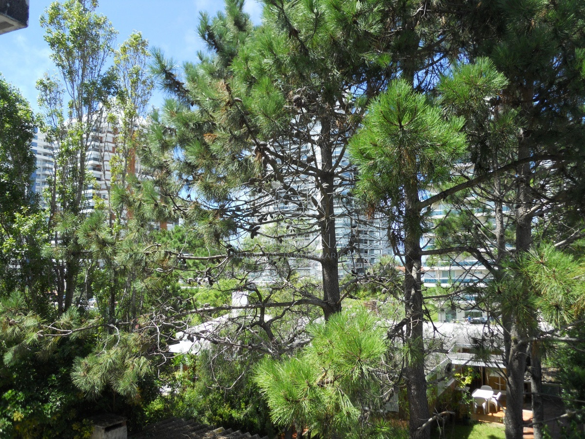 Aidy Grill - GoPunta - Portal Inmobiliario de Punta del Este - Maldonado