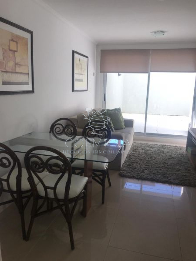 Apartamento en Peninsula, 1 dormitorios con amplia terrza