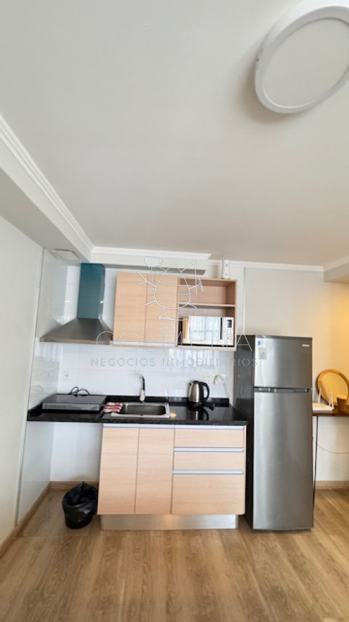 Roosevelt - GoPunta - Portal Inmobiliario de Punta del Este - Maldonado