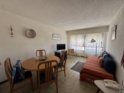 Apto de 1 dormitorio muy bien ubicado en peninsula con servicio de Playa.