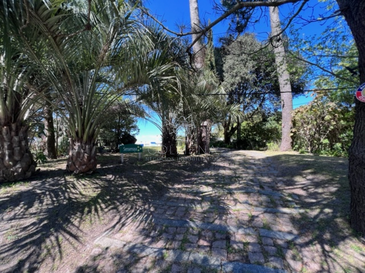 Pinares - GoPunta - Portal Inmobiliario de Punta del Este - Maldonado