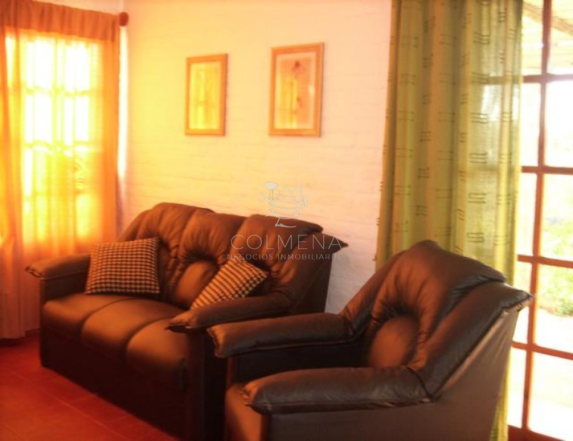 Tio Tom - GoPunta - Portal Inmobiliario de Punta del Este - Maldonado