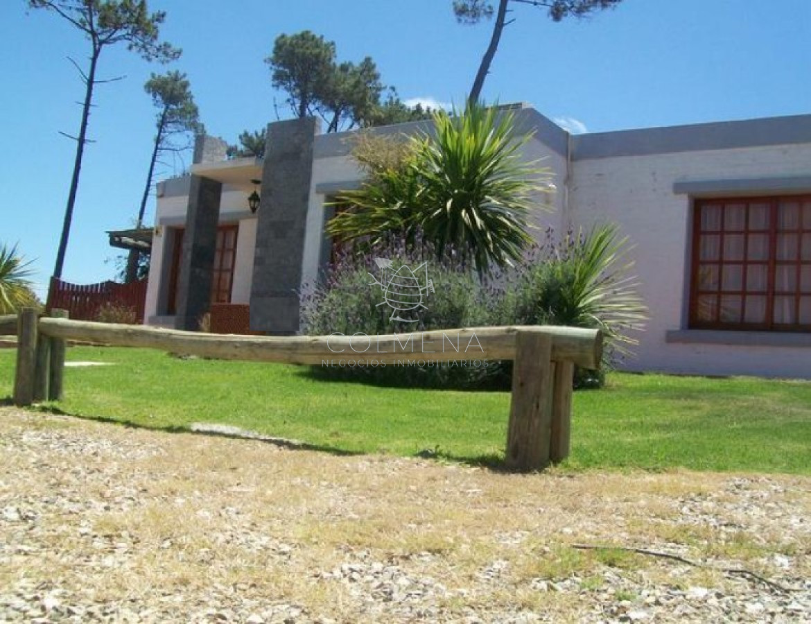 Tio Tom - GoPunta - Portal Inmobiliario de Punta del Este - Maldonado