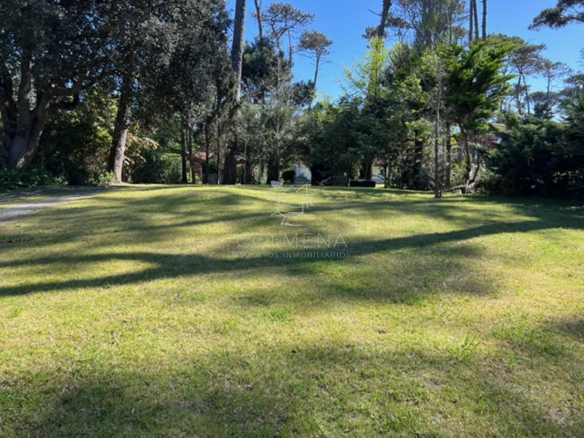 Pinares - GoPunta - Portal Inmobiliario de Punta del Este - Maldonado