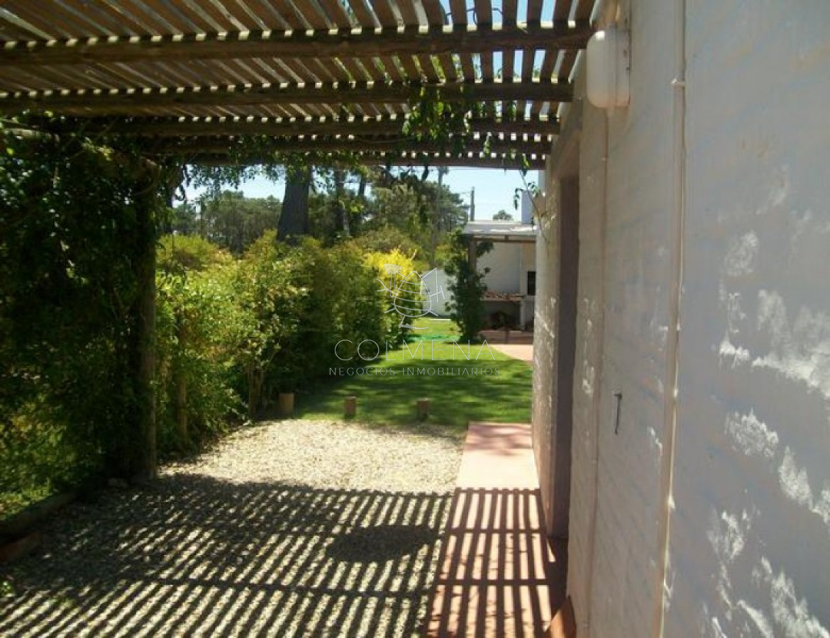 Tio Tom - GoPunta - Portal Inmobiliario de Punta del Este - Maldonado