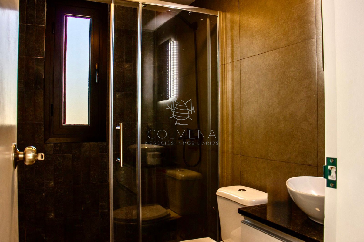 Chihuahua - GoPunta - Portal Inmobiliario de Punta del Este - Maldonado