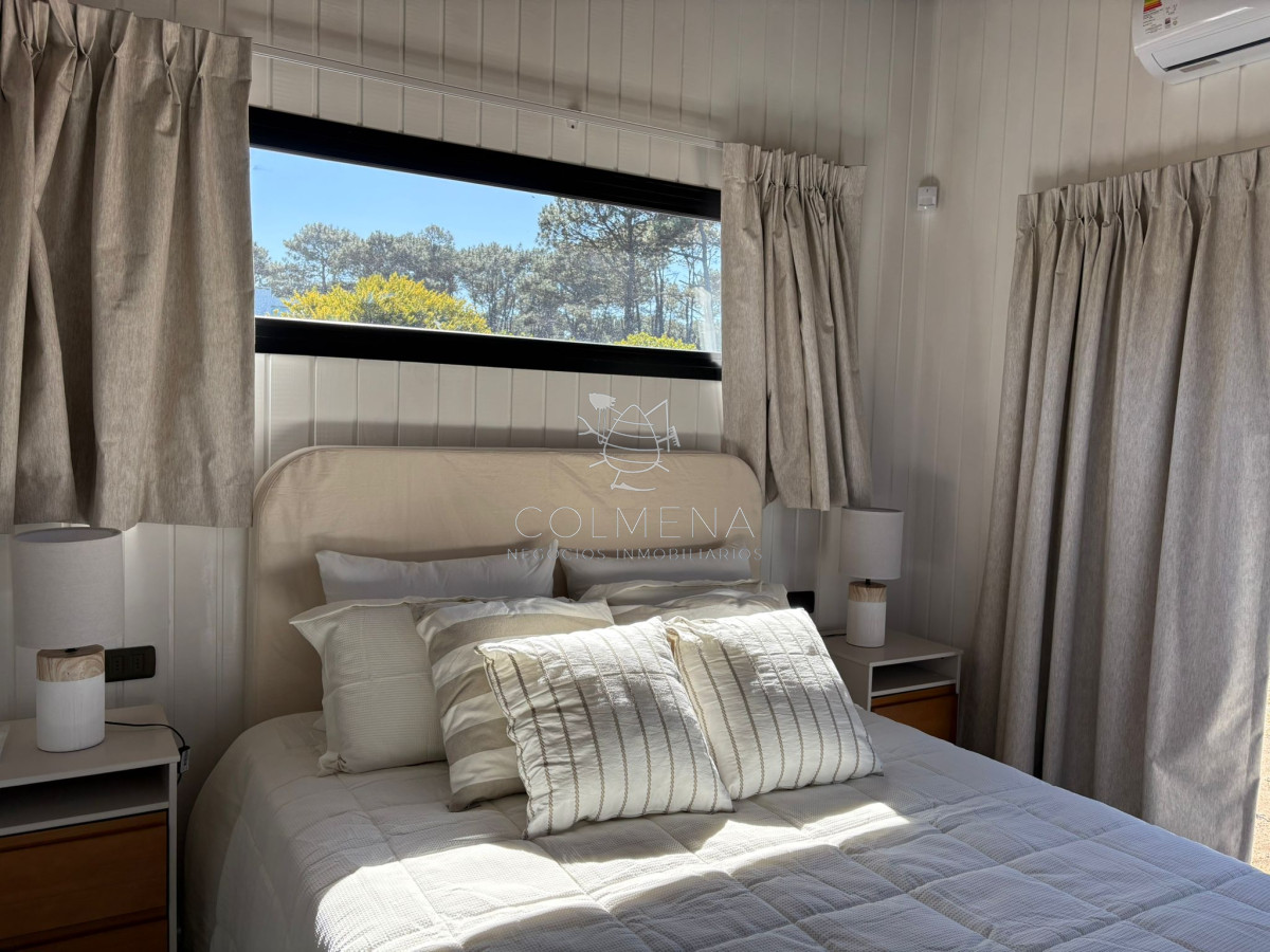 Chihuahua - GoPunta - Portal Inmobiliario de Punta del Este - Maldonado