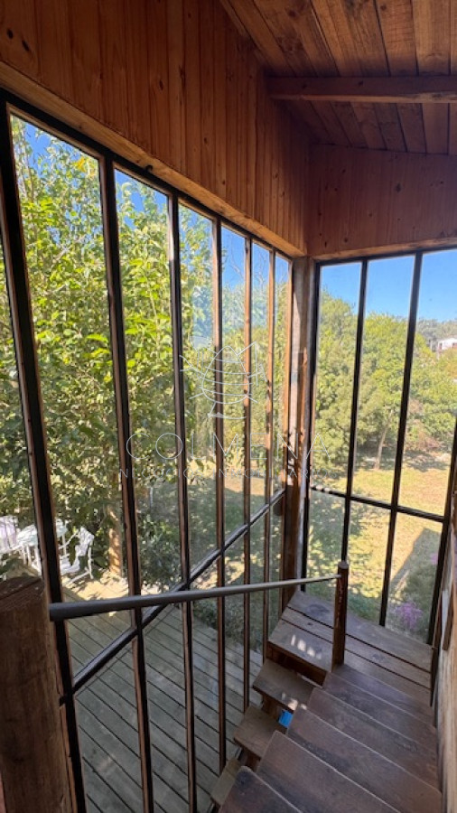 Sauce de Portezuelo - GoPunta - Portal Inmobiliario de Punta del Este - Maldonado