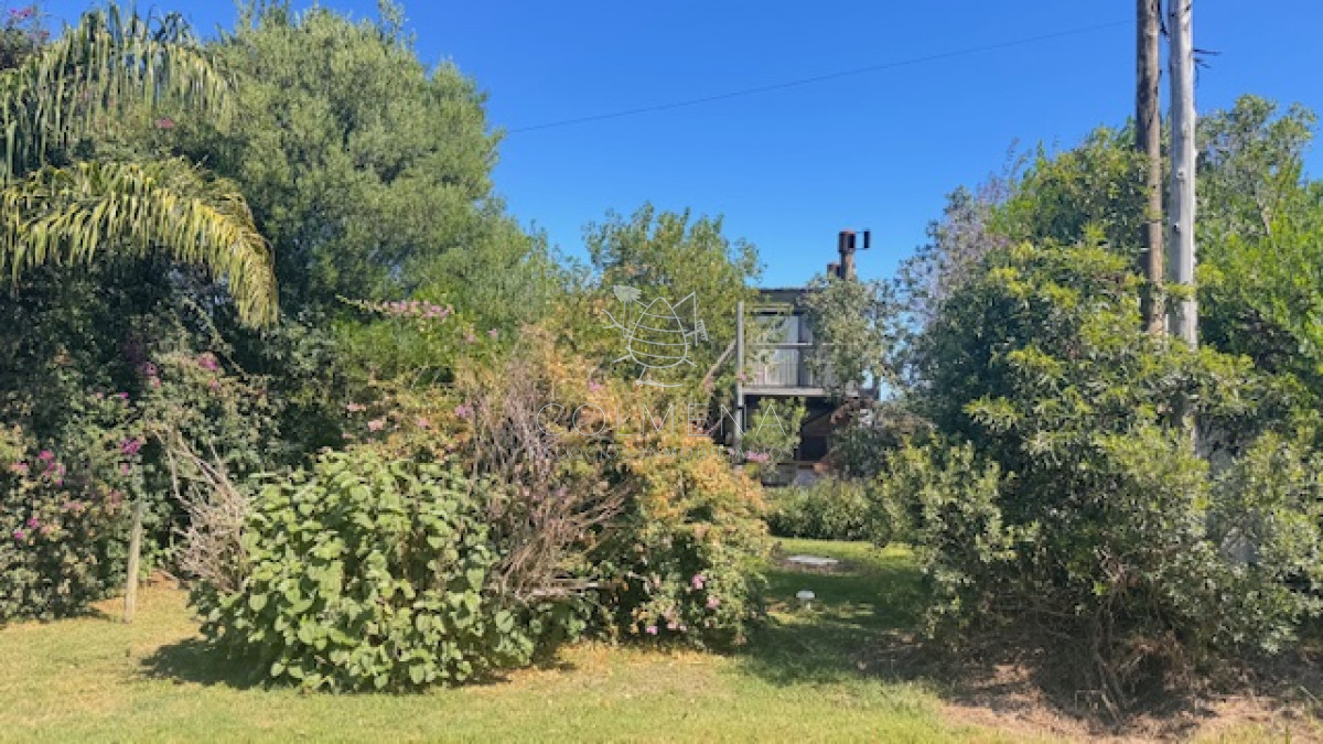 Sauce de Portezuelo - GoPunta - Portal Inmobiliario de Punta del Este - Maldonado