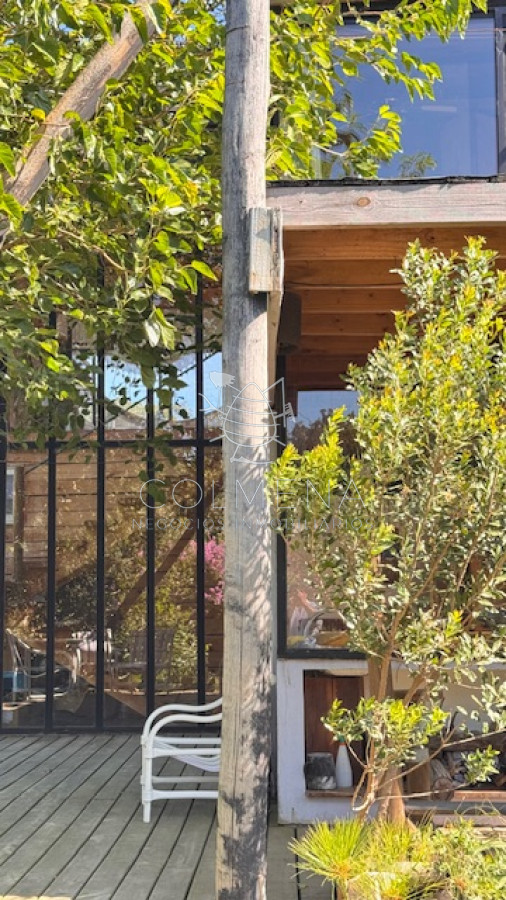 Sauce de Portezuelo - GoPunta - Portal Inmobiliario de Punta del Este - Maldonado