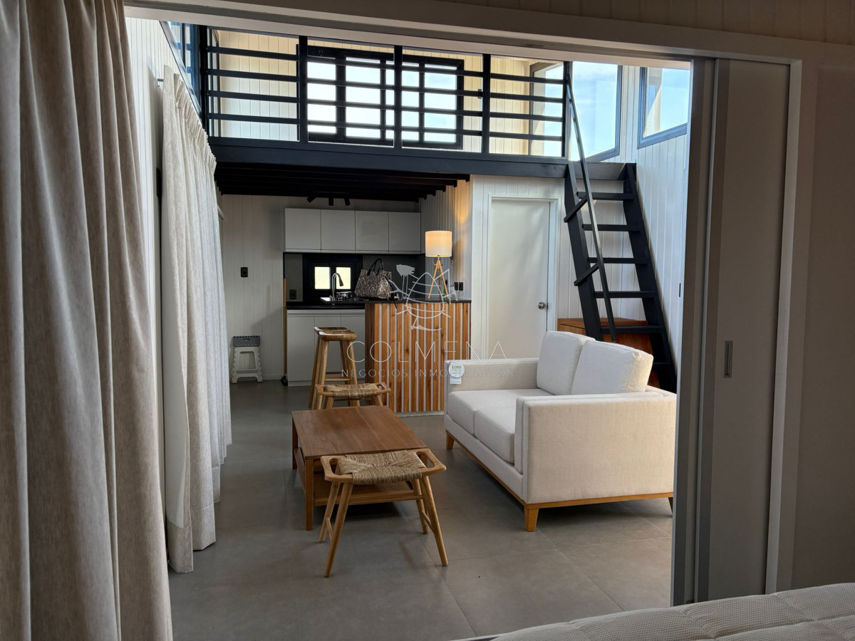 Chihuahua - GoPunta - Portal Inmobiliario de Punta del Este - Maldonado
