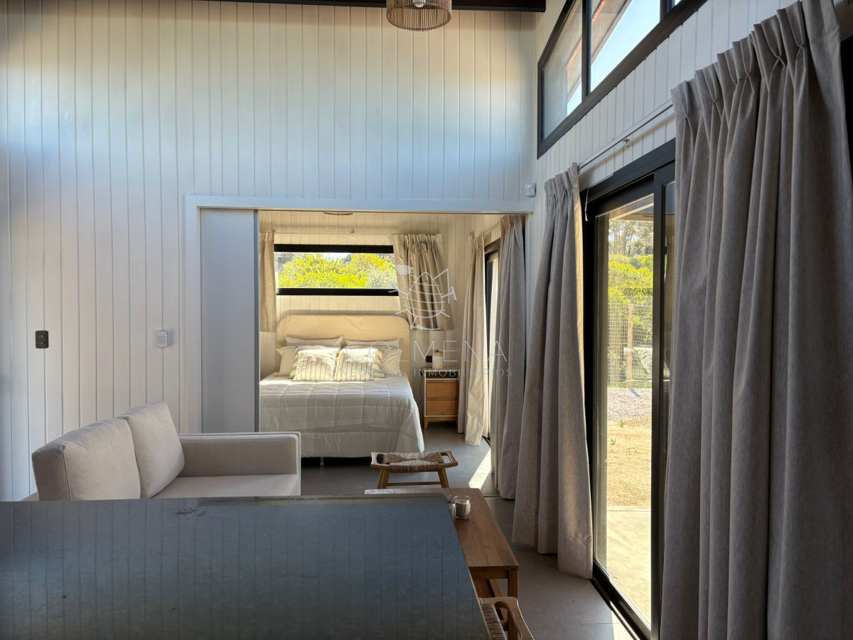 Chihuahua - GoPunta - Portal Inmobiliario de Punta del Este - Maldonado