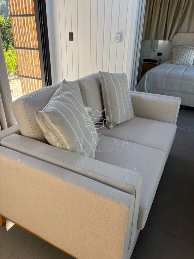 Chihuahua - GoPunta - Portal Inmobiliario de Punta del Este - Maldonado