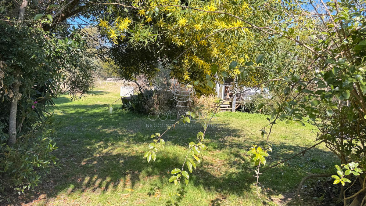 Sauce de Portezuelo - GoPunta - Portal Inmobiliario de Punta del Este - Maldonado