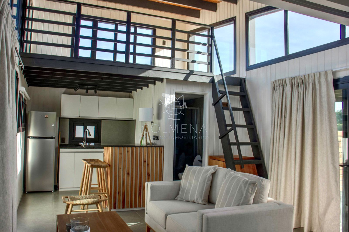 Chihuahua - GoPunta - Portal Inmobiliario de Punta del Este - Maldonado