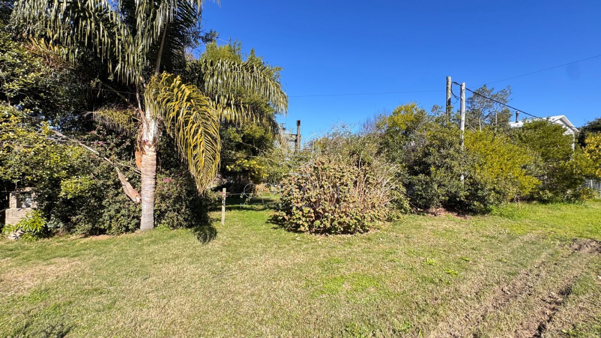 Sauce de Portezuelo - GoPunta - Portal Inmobiliario de Punta del Este - Maldonado